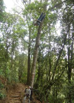 Columpio Extremo