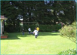 Area de papifootball
